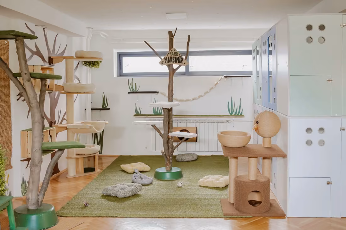 City Cat Hotel soba