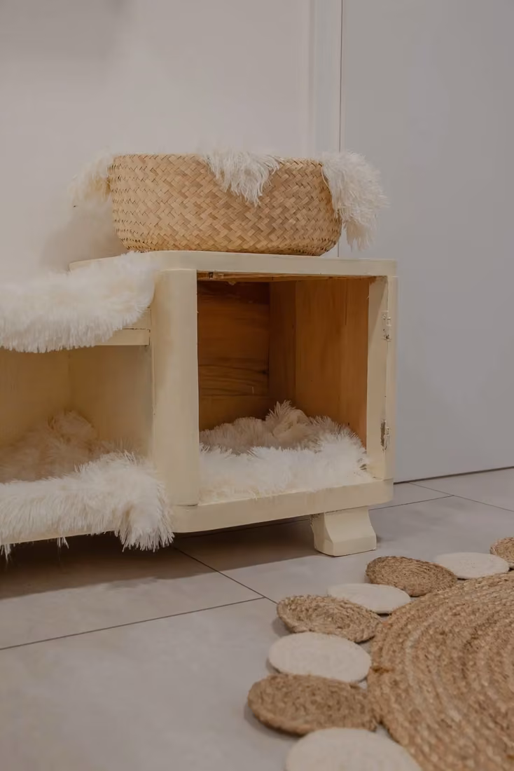 City Cat Hotel soba