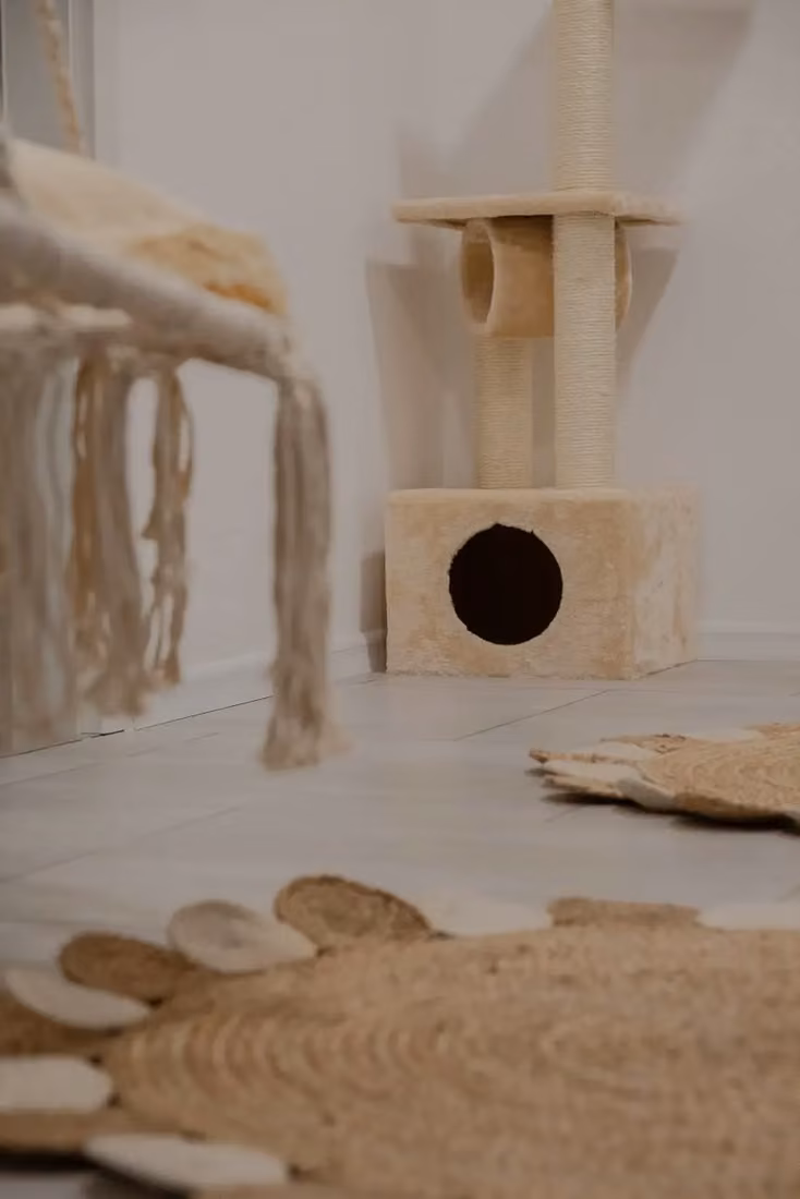 City Cat Hotel soba