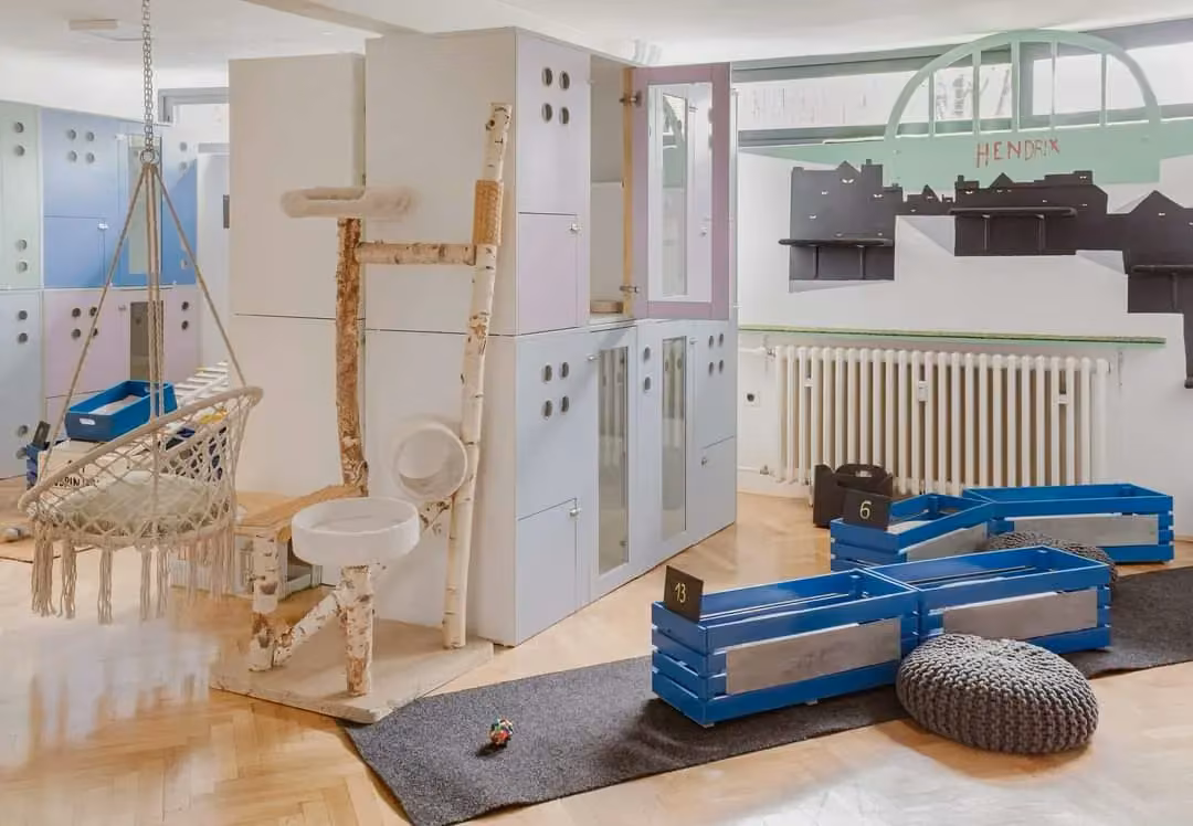City Cat Hotel soba
